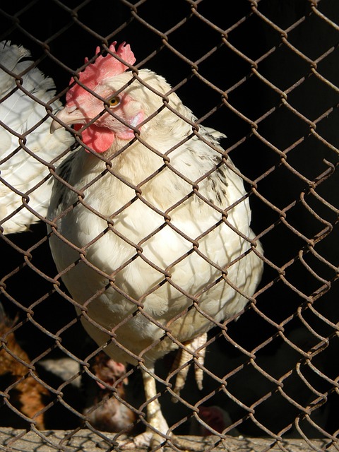 比赛中发挥 比赛中发挥