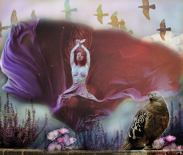 示出区域合 示出区域合