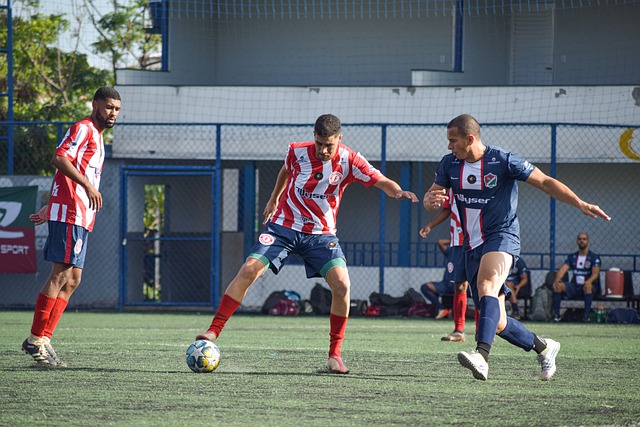 非洲更加自 非洲更加自