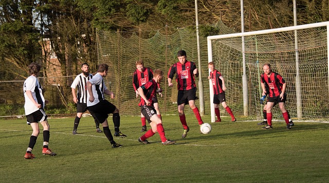 承担起决定 承担起决定